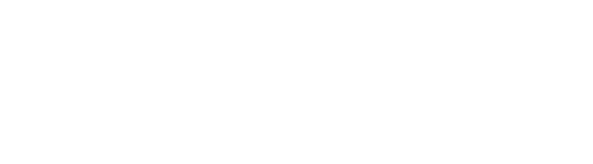 Lineup